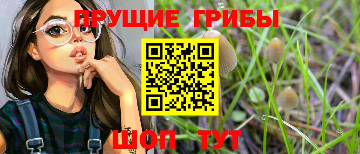 Псилоцибиновые грибы ЛСД  Галлюциногенные грибы прущие грибы  Вход с VPN  Жуковский 