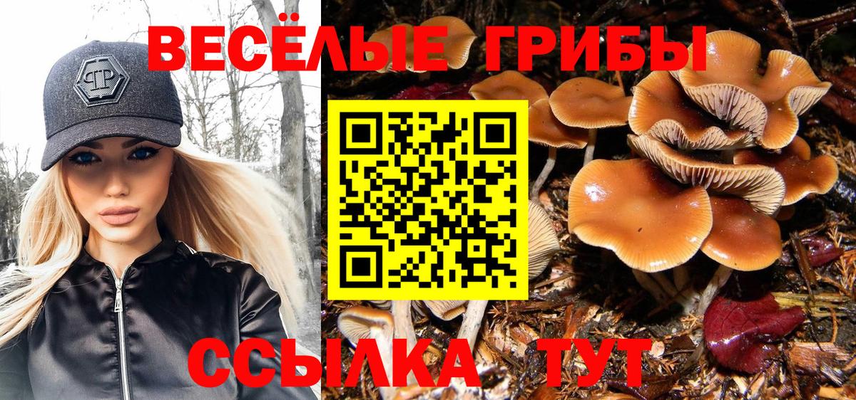 МЕФ   Амфетамин   Канабис  Alpha-PVP СК   Бошки Шишки  ЭКСТАЗИ  Cocaine  Жуковский  МДМА  Вход с VPN 